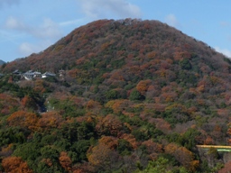 甲山自然の家からの風景